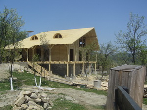 case de lemn