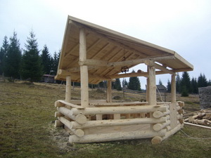 constructii foisoare din lemn
